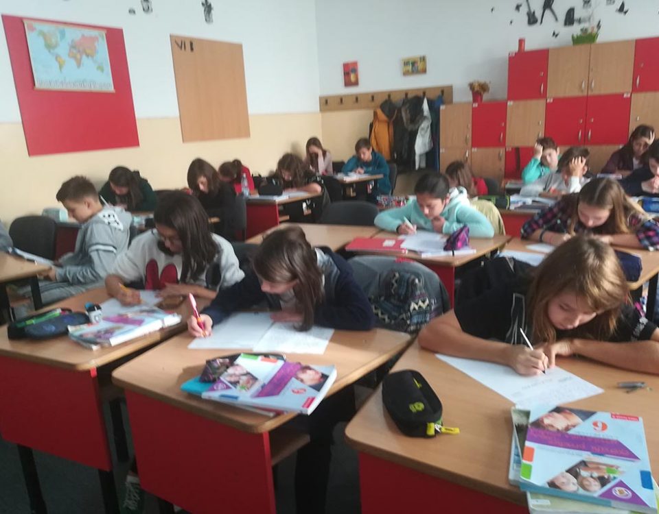 colegiul laurian botosani - micul mare erou